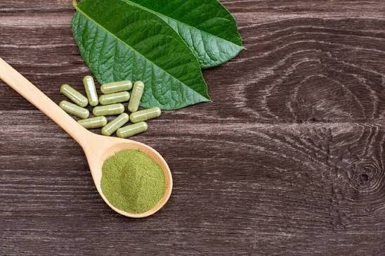 Renewed Kratom Attention Reflects Changing Expectations Within Contemporary Wellness Culture
